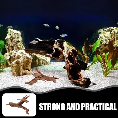 POPETPOP Natural Driftwood for Aquarium Decor - 9.8×5.9" Unique Wood Branch Fish Tank Decorations & Reptile Tank Accessories, Drift Wood Log for Leopard Gecko Terrarium Accessories