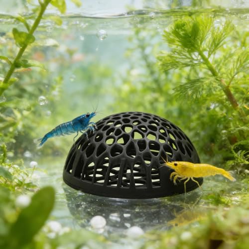 2-Pack Black Shrimp Hideouts – Hollow Half-Sphere Aquarium Caves for Shrimp, Betta Fish & Nano Tanks | Decorative Shelter for Breeding and Molting - color: Black