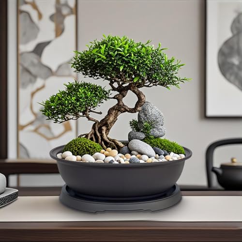 MUZHI 3 Pack Mixed Size Oval Bonsai Planter Pot with Drainage Tray, Matte Finish Ellipse Plastic Bonsai Succulent Growing Pot for Home Garden Plant Container 9.1” 7.2” 5.2” - size: 5.2" / 7.2" / 9.1" Mixed