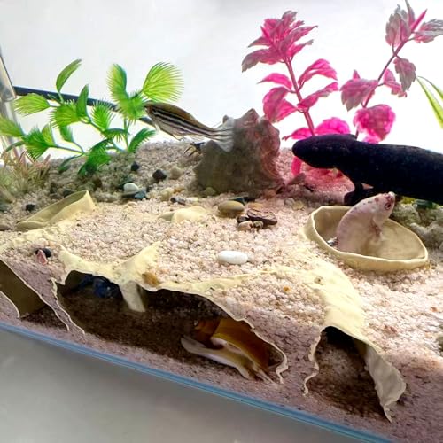 Aquarium Hidden cave，Small Bottom-Dwelling Fish&Shrimp Safe Hiding Hole，Underground Double-Hole Hiding Tunnel，3D Printed， Fish Tank Decoration Accessories (Large Size) (Grey) - color: Gray