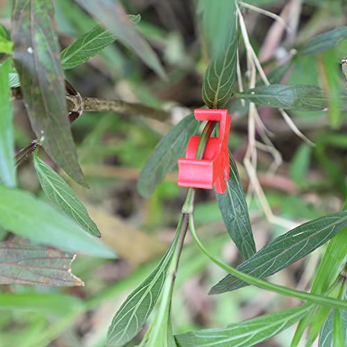 LucyPhy 60 Pack Plant Bender Angle Adjustable Plant Training Clips Low Stress Training Clips 90 Degrees Plant Stem(Circle Style,Red) - color: Red, size: 60Pack
