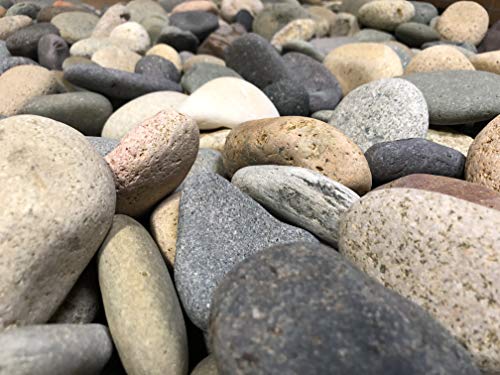 50 Lb. Premium Large Mixed Mexican Beach Pebbles 3-5 inches, Decor, Garden, Landscape, Pathways, Backyard, Rock Pebbles