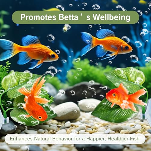 Betta Fish Toys Interactive Betta Ring and Leaf Hammocks Small Tank Accessories Feeding Spot and Resting Bed Breeding Ground Black Circle Fish Feeder with Suction Cups for Aquariums