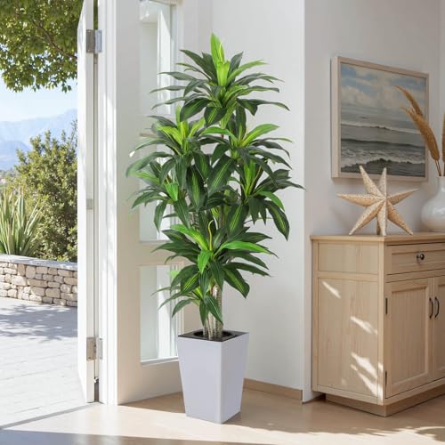 Artificial Dracaena Plant 6ft with White Tall Planter, Potted Artificial Dracaena Silk Plant, Fake Yucca Tree Plant, Home Office Floor Room Decor Plants Indoor Outdoor, Housewarming Gift - color: Dracaena Plant 6ft