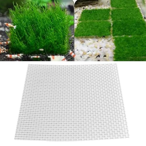 Heyous 6PCS Aquatic Plant Stainless Steel Wire Mesh Pad 10x10cm Aquarium Planting Net for Pump Chambers and Filter Inlets