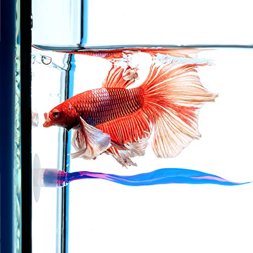 WILLBOND 2 Pcs Blue Silicone Betta Fish Bed Leaf Hammock Betta Fish Tank Accessories Decorations for Aquarium Ornaments, Practical Resting Spot, Comfortable and Safe - color: Blue