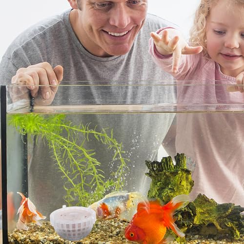 balacoo Aquarium Moss Ball Holder, Plastic Fish Tank Plant Container, Aquarium Moss Holder with Mineral Balls for Shrimp Fish Tank Plant Shaping Accessories