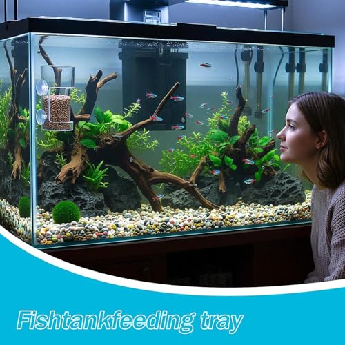 Aquarium Feeding Tray with Suction Cups, with a Cute Moon Animal PVC Gift | Cute Moon Animal Design,Fish feeder