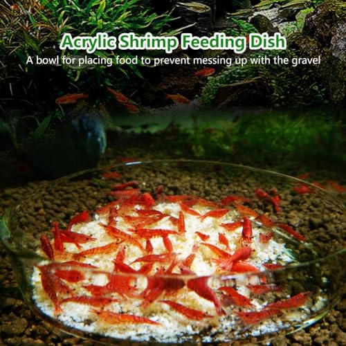 Acrylic Shrimp Feeding Dish – Flower Design Aquarium Food Bowl for Small Reptiles, Easy Clean Fish Tank Feeder Tray