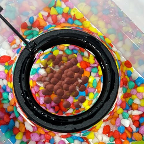 2pcs Feeding Fish Ring Set, Fish Food Feeder +Thermometer Strip, Tank Decor, Aquarium Tank Accessories for Floating Foods, for Betta, Guppy, Goldfish Etc - color: Black Set