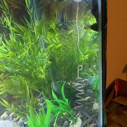 Fish Tank Aquarium Vegetarian Feeder with Suction Cup | Stainless Steel Sinking/Hanging/Benthic Fish Feeder for Loach, Malawi Cichlid, Snail - with Recycling Line