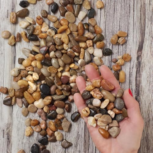 River Rocks Decorative Ornamental Vase Filler 0.5" - 0.75" Natural Aquarium Gravel 2 lbs - Landscaping Pebbles for Indoor Plants, Succulents,Terrarium & Home Decor, DIY & Crafting – Royal Imports - size: Small - 2 lbs, style: Natural