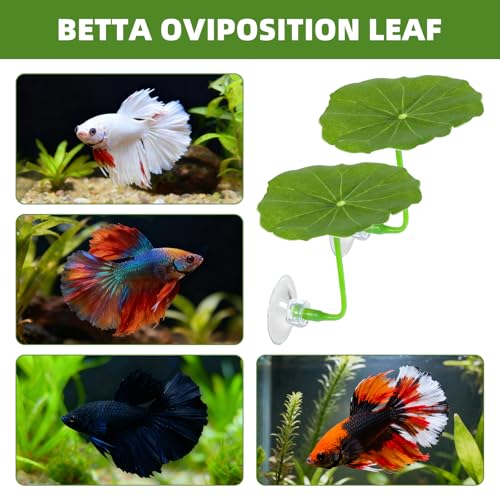 6Pcs Betta Leaf Hammock with 2Pcs Acrylic Tube Tunnel, 8-Piece Fish Tank Accessories for Resting, Playing, Hiding, Ideal for Betta Fish, Small Fish, Aquarium Enthusiasts