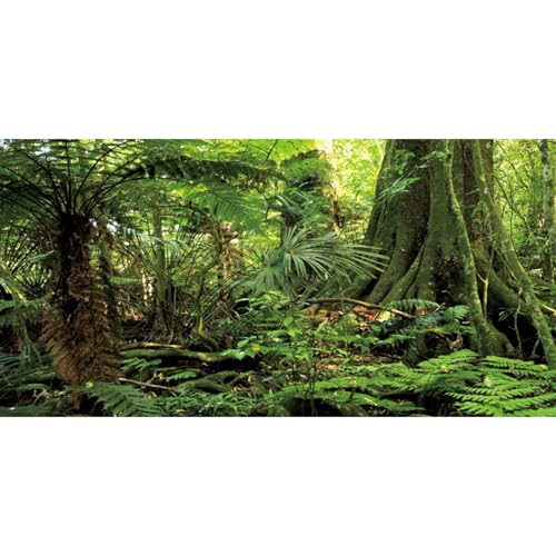 AWERT 60x24 inches Forest Terrarium Background Stone Green Huge Tree Reptile Habitat Background Tropical Rainforest Aquarium Background Durable Polyester Background - size: 60x24in/150x60cm