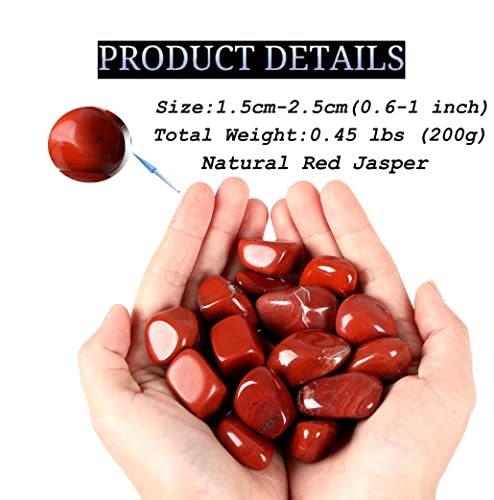 DUQGUHO Red Jasper Healing Crystals Stones Set Natural Tumbled Polished Irregular Pebble Stones Fish Tank Rocks 0.45 lbs - color: 06 Red Jasper