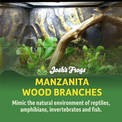 Josh's Frogs Manzanita Wood (Medium) - size: Medium