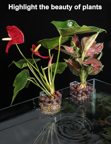 2 Pack Clear Aquarium Plant Holder Top Hanging Fish Tank Plant Holders Fits up to 0.8in Tank Edges, Aquarium Décor - color: Semicircle-White