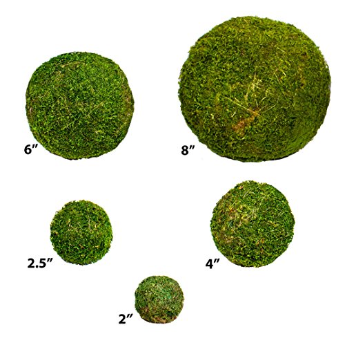 SuperMoss (25440) Moss Ball, Fresh Green, 2" Pack of 4 - color: Fresh Green, size: 2"