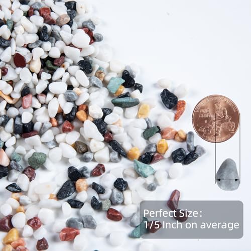 5lb Pea Silica Gravel Decorative Rocks, No Wax Pebbles Ideal for Fish Tank, Vases, Succulents, Home Decor and Garden Landscaping, Countryside Silica Gravel - color: Countryside No Wax, size: 5LB