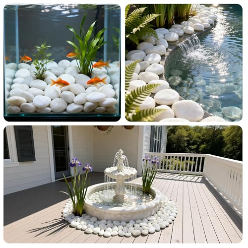 10 lbs White River Rocks, Polished Pebbles for Indoor Plants, 1-2 inch Decorative White Stones for Plants Vase Aquarium Fish Tank and Outdoor Garden Landscaping Rocks