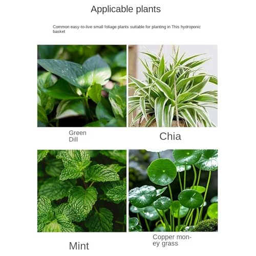 Aquarium Plant Holder, Versatile Placement, 15x10x12cm, Fish Tank Greenery, Planted Aquarium Shelf, Fish-Friendly, for Corner, Shelf, Underwater Vine, Moss - color: Three Grids
