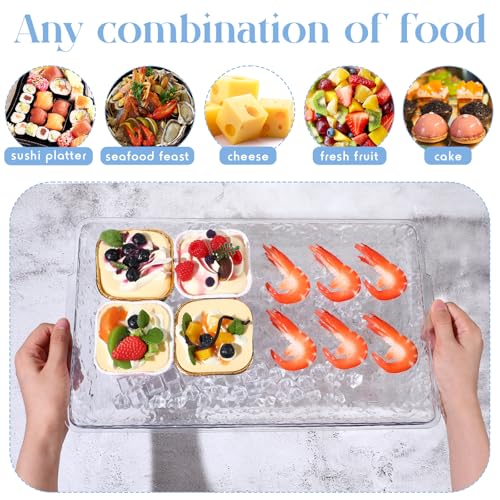 Baderke 2 Set 16" x 9" Plastic Chilled Serving Tray for Parties with Compartments Ice Chilled Party Platter Charcuterie Serving Board Cold Dish Dip for Fruit Seafood Vegetable Appetizer (Clear) - color: Clear