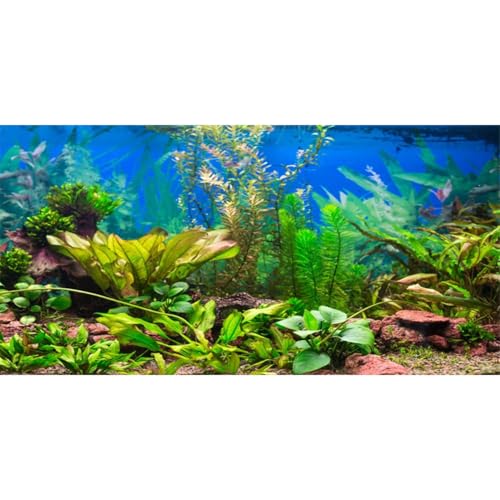 AWERT 36x20 inches Aquarium Background Aquatic Plant River Bed & Lake Fish Tank Background Vinyl