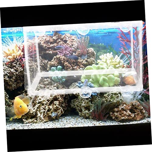 Garneck 2pcs Fish Breeding Incubator Mesh Type Net for Fish Tank Hatchery Isolation Increases Juvenile Survival Rate Suitable for Aquariums