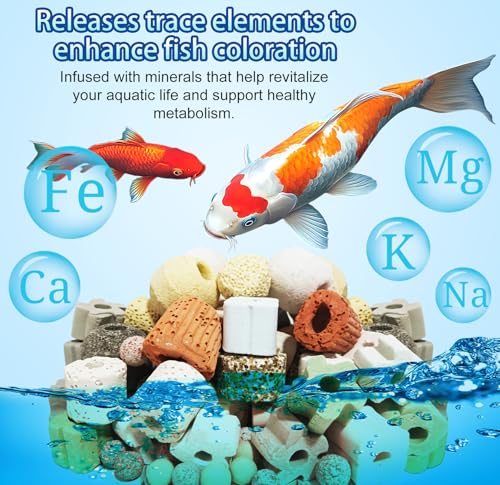 Aquarium Filter Media 12-in-1 Biological Kit - Supports Nitrogen Cycle for Crystal Clear Water, with Bio Balls & Ceramic Rings for Freshwater, Saltwater, Pond, Sump, Canister Filter(2lb) - size: 2lb(910g)