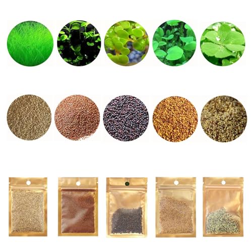 5 Pack Aquarium Plant S.e.e.d Set, not Artificial plasticl Plant. Real Grass Tank Decor Replacement for Resin or Plastic Grass N0：9527-16