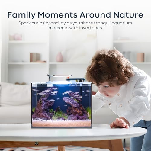 2.6 Gallon Small Aquarium Set Glass Fish Tank, Starter Kit with Heater Water Pump Cleaning System Filter Bright Light Rocks Gravel Cleaning Tool, Leak-Proof Clear Rimless Desktop Spaces Saving Betta