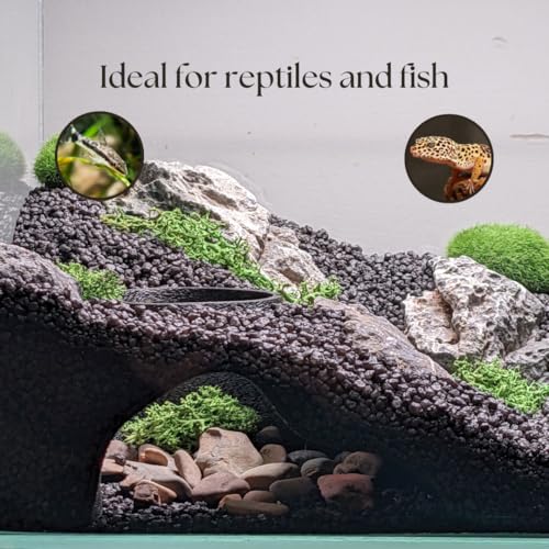 Aquarium & Terrarium Natural Viewing Cave | Fish & Reptiles | Gecko, Corydora, Pleco, Kuhli Loach Hide (Black) - color: Black - Gecko, Corydora, Pleco, Kuhli Loach Hide