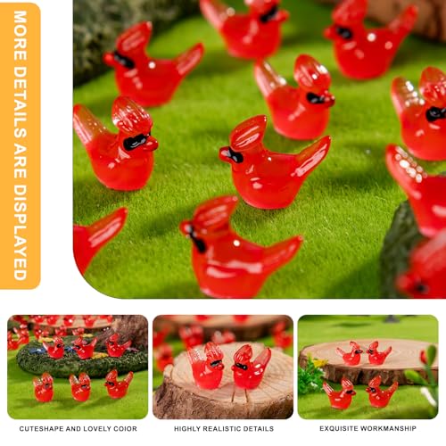 60 pcs Mini Resin Bird Many Styles Variety Tiny Luminous Animals Figures Miniature Little Small Animal Figurines Bulk for Micro Fairy Garden Landscape Accessories Hide Crafts Decor Aquarium - color: Bird-60p