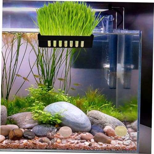 Toddmomy 2pcs Floating Plant Aquarium Moss Holder Suction Cups Hanging Fish Tank Planter Cups for Aquatic Plants Fish Tank Holder Aquarium Decorations