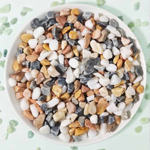 3Lb Pebbles for Indoor Plants,River Rocks for Succulent Plants,Aquarium Gravel,Decorative Stones Bonsai Garden Pebbles,Aquarium Rocks for Landscaping,Plants,Vase Fillers (Grey & White) - color: Grey & White
