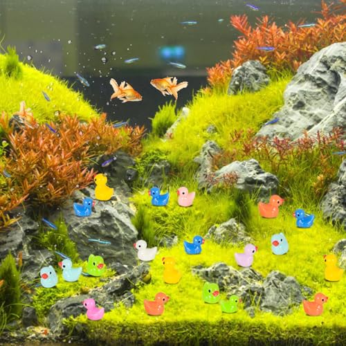 Arcimatto 240 Pack Mini Ducks Tiny Resin Duck Bulk, Decor Duck Figures for Miniature Dollhouse Decor Garden Aquarium Potted Ornament, DIY Charm Crafts Hide and Seek Prank Party Favor Toys Gag Gifts - style: Colorful Ducks