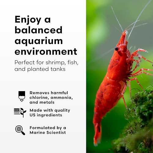 Brightwell Aquatics Shrimp Prep – Water Conditioner for Freshwater Shrimp & Aquariums – Removes Chlorine, Ammonia & Heavy Metals – Promotes Healthy Habitat, 125 ml - size: 125-ml