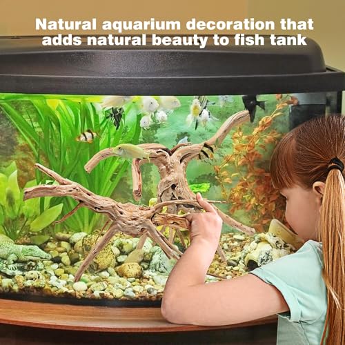WDEFUN Natural Spiderwood for Aquarium Decor 2-Piece 11''-14'' Long Natural Driftwood Branches for Fish Tank Decorations - size: Spiderwood （11-14 inch pack of 2）