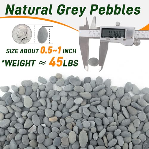 Quibbay 45 LB Mexican Beach Pebbles, 0.4-1 Inch Natural Unpolished Bulk Rocks, Decorative River Rocks for Landscaping Garden Paving Plant, Rocks for Walkways and Outdoor Decorative Stone, Grey - size: 45 Pounds, 0.4-1 Inch