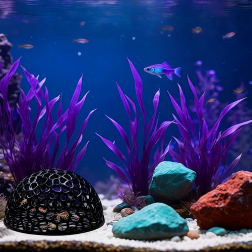 2 PCS Shrimp Hdes for Aquarium, Shrimp Cave Tunnel, Shrimp Hides for Aquarium Small Fish Habitat, Hollow Design for Shelter