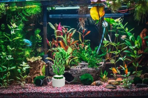 15pack Aquatic Plants Fixed Ring Set Green Aquatic Plants Fixed Rings Anti-Floating Ceramic Aquarium Plant Rings Aquarium Decoration Fish Tank Accessories