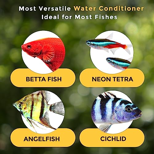 SunGrow 10 Pcs Catappa Indian Almond Leaves for Shrimp Aquariums, 4-7 Inches Long Leaf as Hiding Spot, Tannins Lowers Tank's pH, Softens Water, Enhance Spawning & Vitality Rate