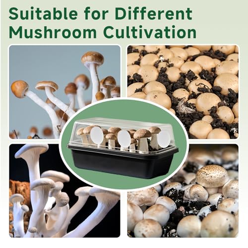 24-Pcs 3" Monotub Adhesive Filter Disks - 3mm Thick Monotub Filter Discs for Mushroom Growing Supplies - Replacement Filter Pads for Monotub Filters and Fruiting Chambers - color: 3mm