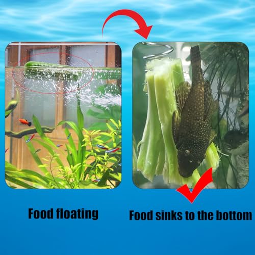 Fish Tank Aquarium Vegetarian Feeder with Suction Cup | Stainless Steel Sinking/Hanging/Benthic Fish Feeder for Loach, Malawi Cichlid, Snail - with Recycling Line