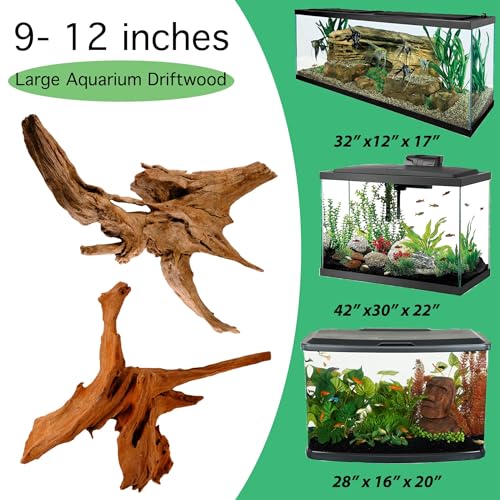 Azil Natural Driftwood 9''-12'' (2 Pieces) – Perfect Aquarium Decoration for Fish Tanks, Freshwater Aquariums, Terrariums, Aquascaping, Hardscaping, Aquatic Plants - size: driftwood 9'' - 12''