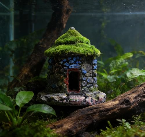 M2cbridge Aquarium Decorations Fish Hideout House Betta Cave with Green Lifelike Moss (Style 1) - style: Style 1
