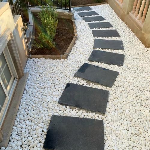 FANTIAN 10 lbs White Gravel for Landscaping, 1-2 Inch Pebbles for Indoor Plants, Decorative River Rocks for Succulent, Vases, Aquariums, Crafting and Garden - color: White, size: 10 lbs, 1-2 Inch