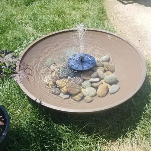 Pulovin 5lbs River Rocks for Landscaping, 2"-3" Decorative Garden Stones for Plants, Flower Pots, Vase, Walkways, Yard, Natural Rocks for Aquarium, Fish Tank - size: 2-3 Inch