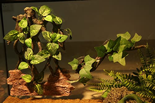 AQUA KT Reptile Climb Tree Branch Rock Background Decoration with Suction Cup for Terrarium Amphibian Lizard Snake - color: Terrarium Background