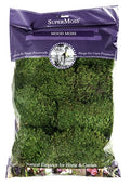 SuperMoss (21539) Mood Moss Preserved, 200 Cubic Inch Bag (Appx. 8oz), Fresh Green - color: Fresh Green, size: 8 Ounce (Pack of 1)